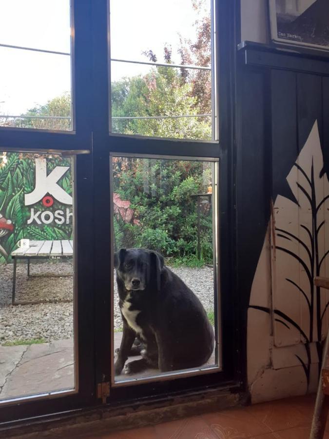 Kosh Hostel Bariloche Buitenkant foto