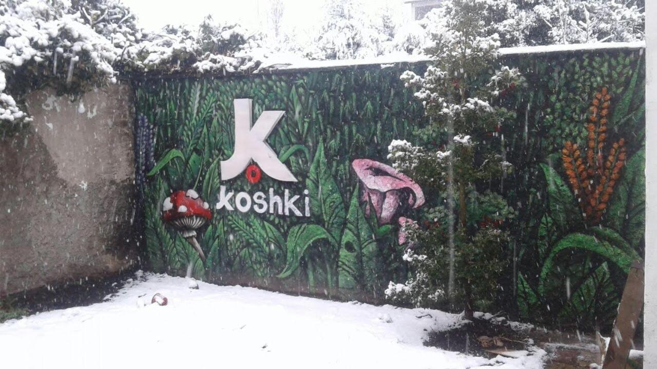 Kosh Hostel Bariloche Buitenkant foto